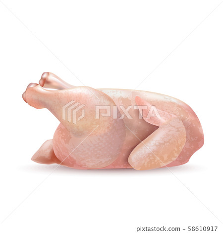 Isolated Whole Chicken on White Background in Realistic Style 58610917