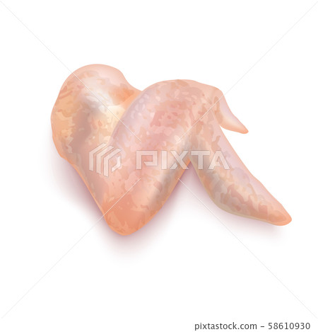 Isolated Chicken Wing on White Background in Realistic Style Isolated Chicken Wing on White Background in Realistic Style 58610930