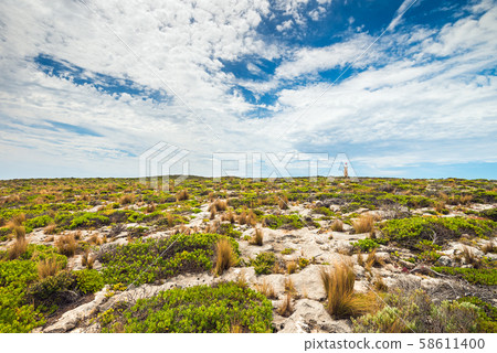 Kangaroo Island landscape with Cape Du Couedic Kangaroo Island landscape with Cape Du Couedic 58611400