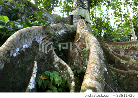 Goa Gajah ruins Goa Gajah ruins 58611426
