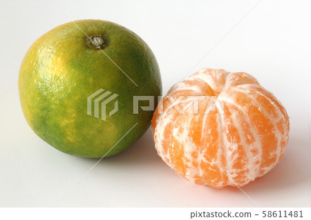 很早出生的橘子 58611481