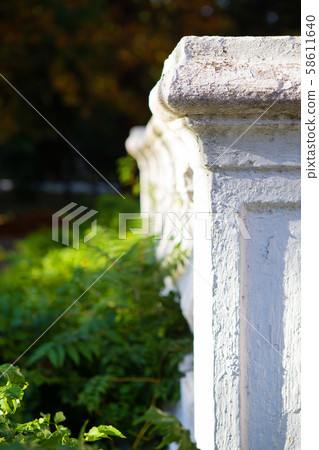 Old white columns overgrown with green plants. Old white columns overgrown with green plants. 58611640