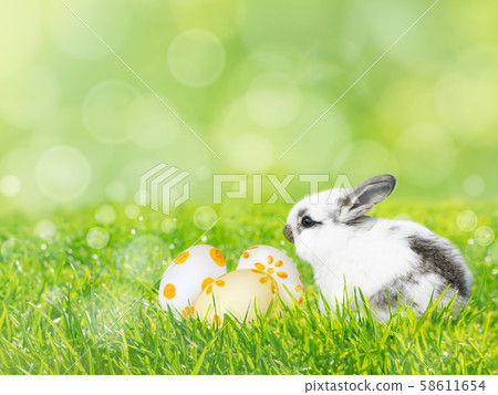 Painted Easter eggs and white rabbit on the green Painted Easter eggs and white rabbit on the green 58611654