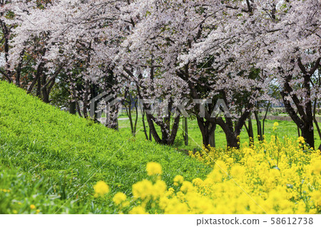 Sakitama Kofun Park 12 Sakitama Kofun Park 12 58612738