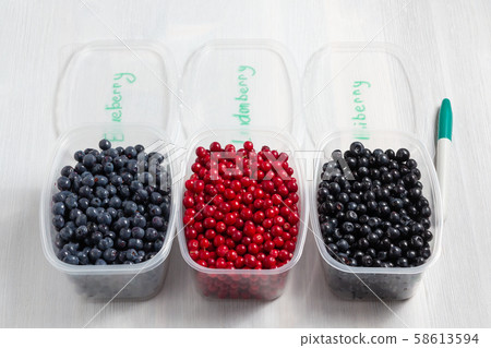 Berries laid out in containers, signed with a marker and prepared for freezing and storage 58613594