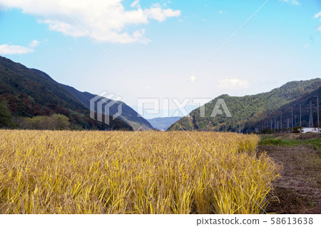 Autumn mountain countryside Autumn mountain countryside 58613638
