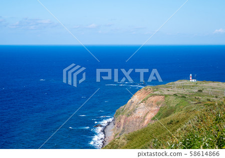 俯瞰特馬里島的燈塔 俯瞰特馬里島的燈塔 58614866