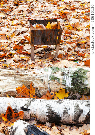 little grill on meadow covered by fallen leaves little grill on meadow covered by fallen leaves 58616136