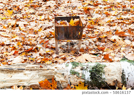 rusty grill on meadow covered by fallen leaves rusty grill on meadow covered by fallen leaves 58616137