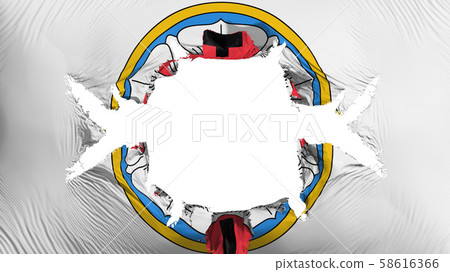 Lutheran Rose flag with a big hole 58616366