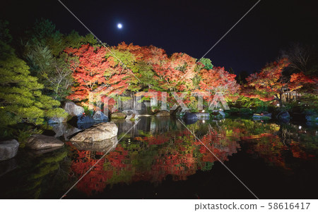 Autumn leaves of Kokoen by night Autumn leaves of Kokoen by night 58616417