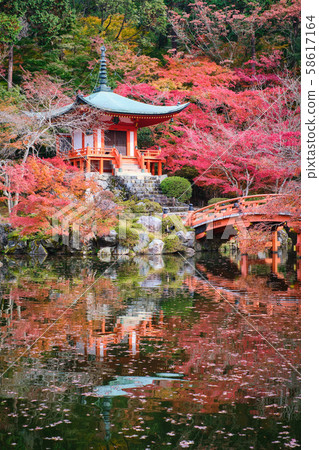Autumn leaves of Daigoji 58617164
