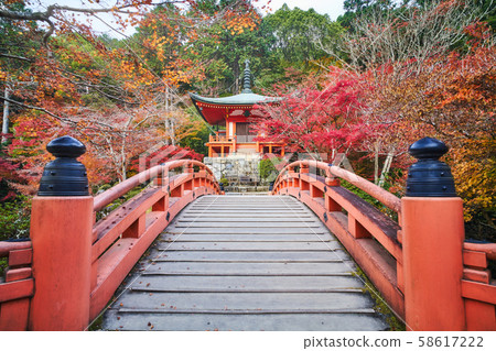 Autumn leaves of Daigoji 58617222