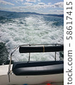 cruise 58617415