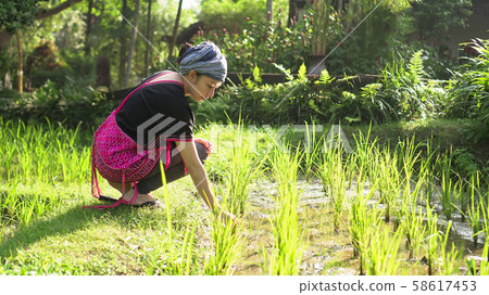 Asian ethnic woman with native dress smile at her 58617453