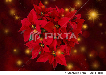 紅色,紅色,聖誕節紅色,聖誕節,賀卡,聖誕節 紅色,紅色,聖誕節紅色,聖誕節,賀卡,聖誕節 58619001