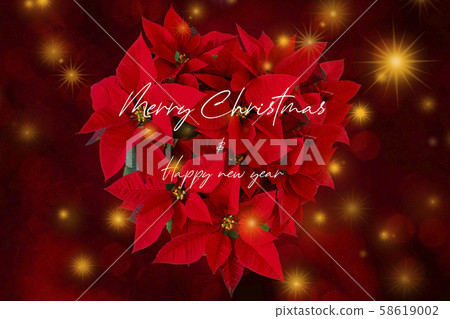 紅色，紅色，聖誕節紅色，聖誕節，賀卡，聖誕節 58619002