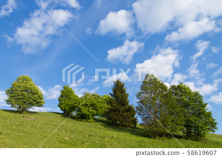 Spring mountain landscape, mount Grappa, Italy Spring mountain landscape, mount Grappa, Italy 58619607