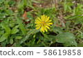 Yellow line conspiracy 58619858