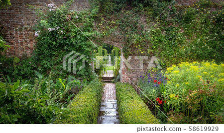 Beautiful flowers, trees and plants and garden 58619929