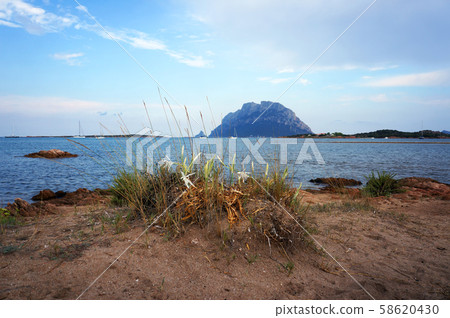 Beach in Porto San Paolo, Sardinia, Italy. View to Beach in Porto San Paolo, Sardinia, Italy. View to 58620430