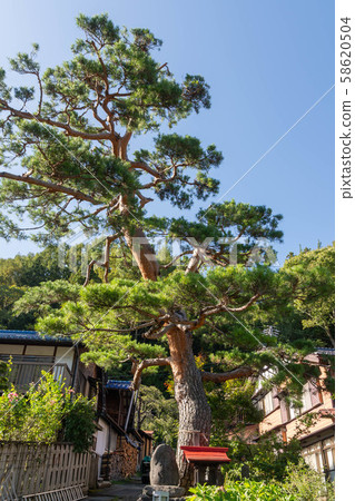 Naraijuku, Shimazu Shrine 58620504