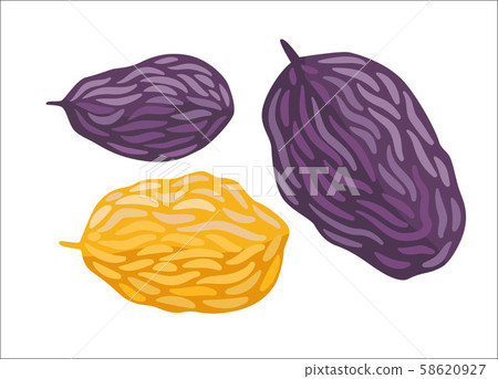 Vector raisins, Dodo collection 58620927