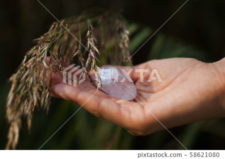 Female hand holding yoni egg made from transparent violet amethyst stone on spikelets background Female hand holding yoni egg made from transparent violet amethyst stone on spikelets background 58621080
