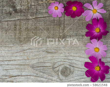 Beautiful bright flowers lying on unpainted boards 58621548