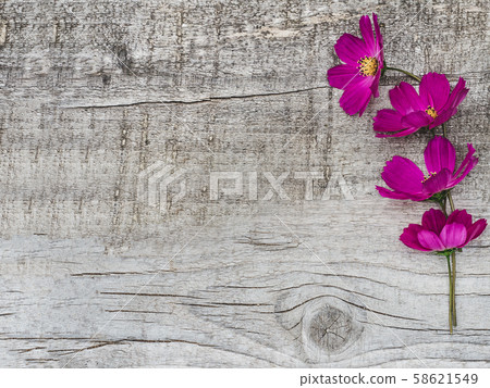 Beautiful bright flowers lying on unpainted boards Beautiful bright flowers lying on unpainted boards 58621549