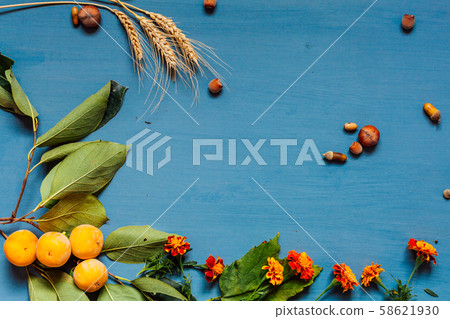 autumn background texture yellow and red leaf leaf autumn background texture yellow and red leaf leaf 58621930