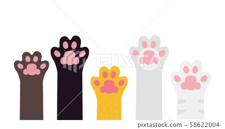 Cute pet paws rising up. 58622004