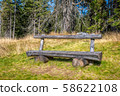 Wooden bench in the woods, sunnz meadow and trees in background 58622108