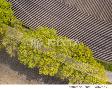 Sown potatoe field aerial Sown potatoe field aerial 58623570