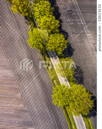 Sown potatoe field aerial Sown potatoe field aerial 58623630