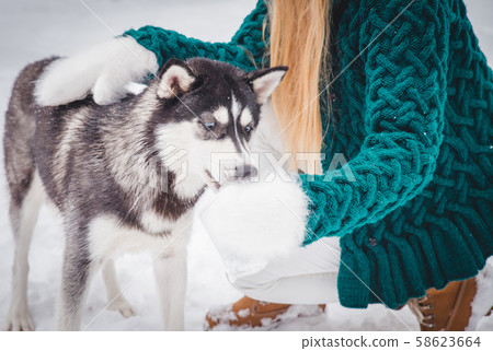 Woman feeding homeless dog on the street, closeup Woman feeding homeless dog on the street, closeup 58623664