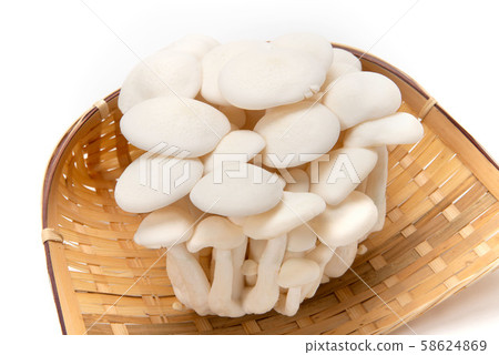 白姬路 白姬路 58624869