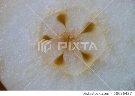The flesh of a pear (fruit) 58626427