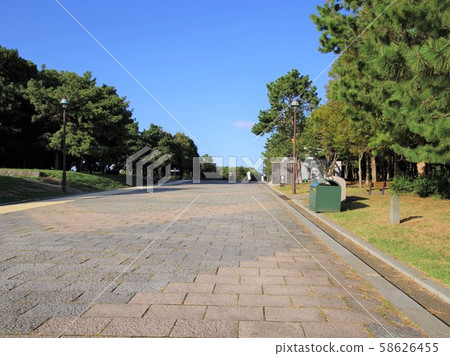 Kasai Rinkai公園的風景 Kasai Rinkai公園的風景 58626455