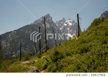 Peak of th Grand Teton by Jenny lake 58627068