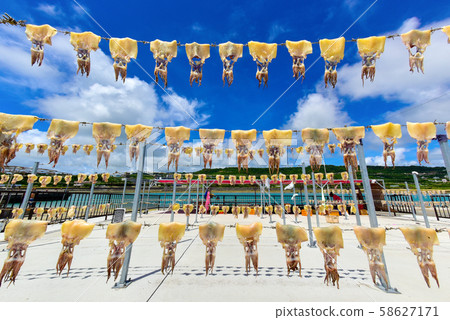 曬乾的翻車魚 曬乾的翻車魚 58627171