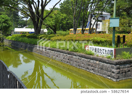小金井公園，小金井公園，東京，江戶東京 58627654