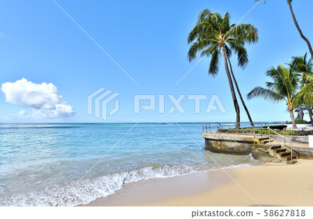 夏威夷的假期 夏威夷的假期 58627818