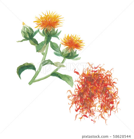 Safflower dried 58628544