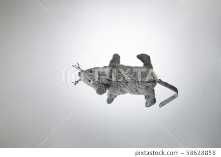 Mouse plush 2020 zodiac Mouse plush 2020 zodiac 58628858