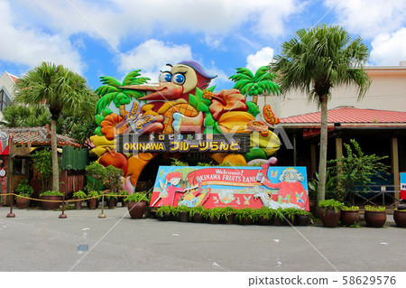 << Okinawa Prefecture >> OKINAWA Fruit Land 58629576
