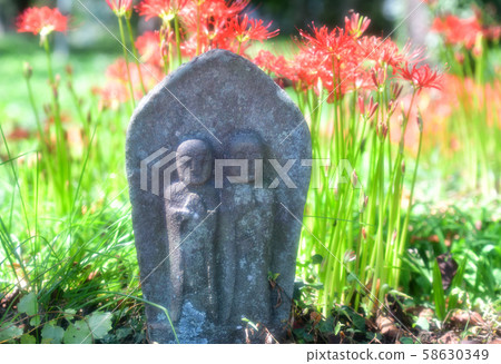 Hakushu-cho, Hokuto City, Hanjibana of Yamadera and Stone Buddha (using soft filter) 58630349