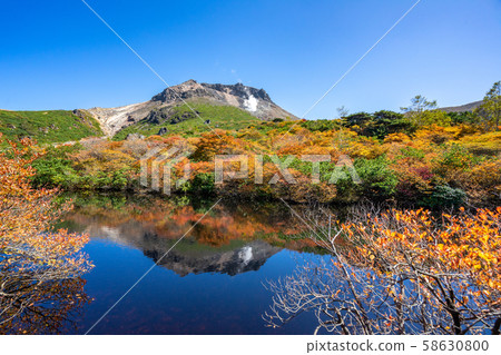 Gourd's lake 58630800