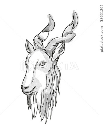 Markhor Endangered Wildlife Cartoon Retro Drawing 58631265