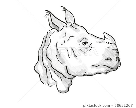 Indian Rhinoceros Endangered Wildlife Cartoon 58631267